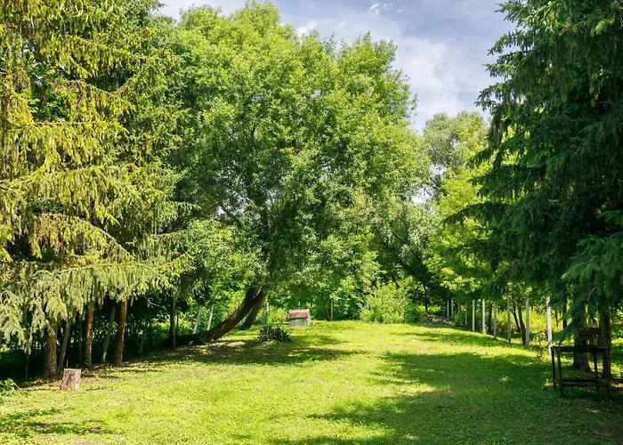 By Interhome アパート バラトンレッレ